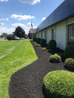 This planting for a commercial site in Westfield was designed and installed by Eich Bros Landscaping